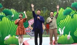 黄陂最新爆料新闻视频,视频揭露惊人内幕，事件真相令人震惊！